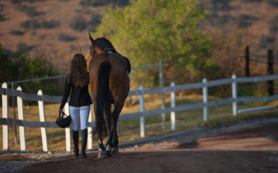 Saddle Up for Support: Addressing Eating Disorders in the Equestrian Community